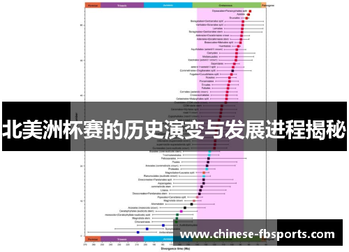北美洲杯赛的历史演变与发展进程揭秘