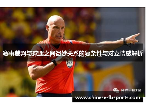 赛事裁判与球迷之间微妙关系的复杂性与对立情感解析