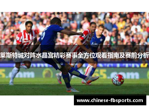 莱斯特城对阵水晶宫精彩赛事全方位观看指南及赛前分析